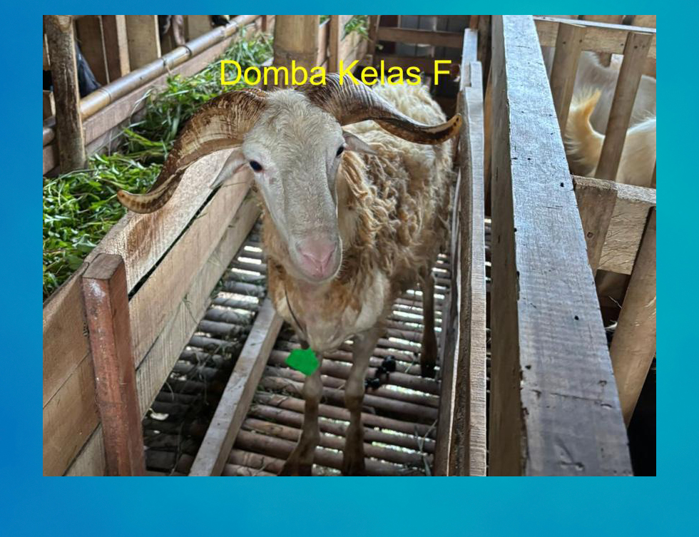 5oWvJt17DY9ep2KwjBNa7MmGwuK93IPXITskm8wI.jpg