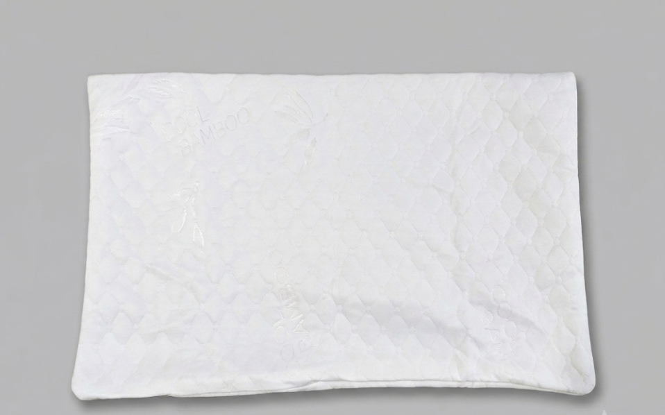 Pillow Protector 2