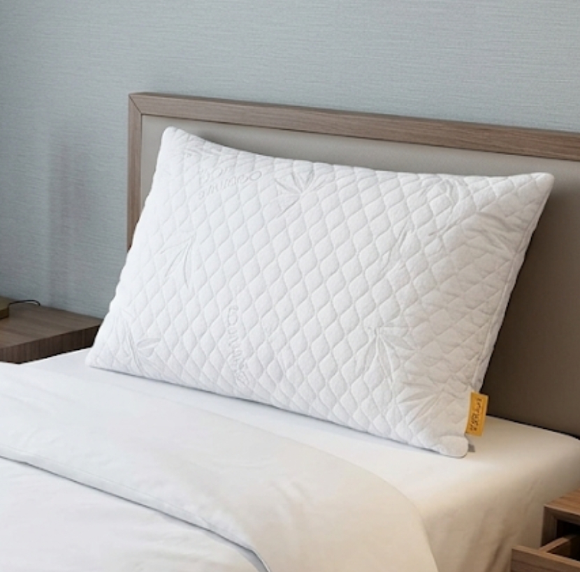 Pillow Protector 3