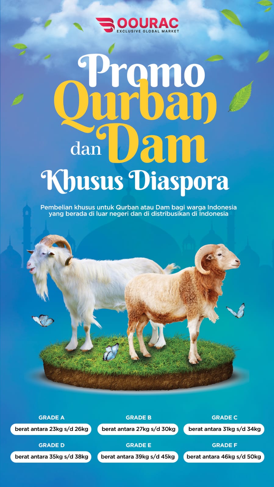 v2Y8VXIPs5X6bIQBNwE8GEezh1GrDzHjWY160lMH.jpg